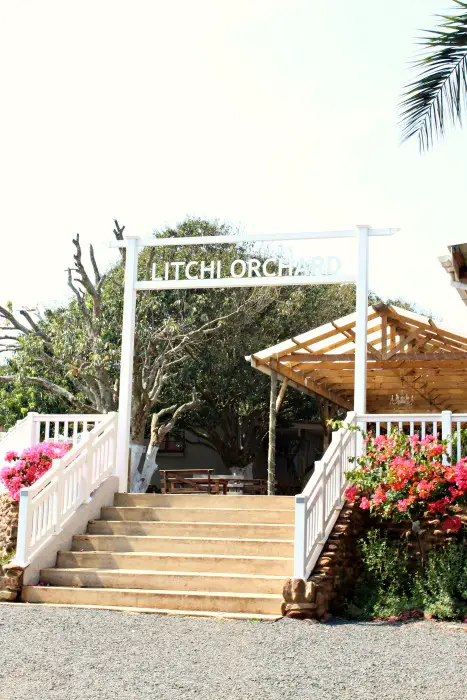 the litchi orchard & delish sisters coffee shop | berrysweetlife.com