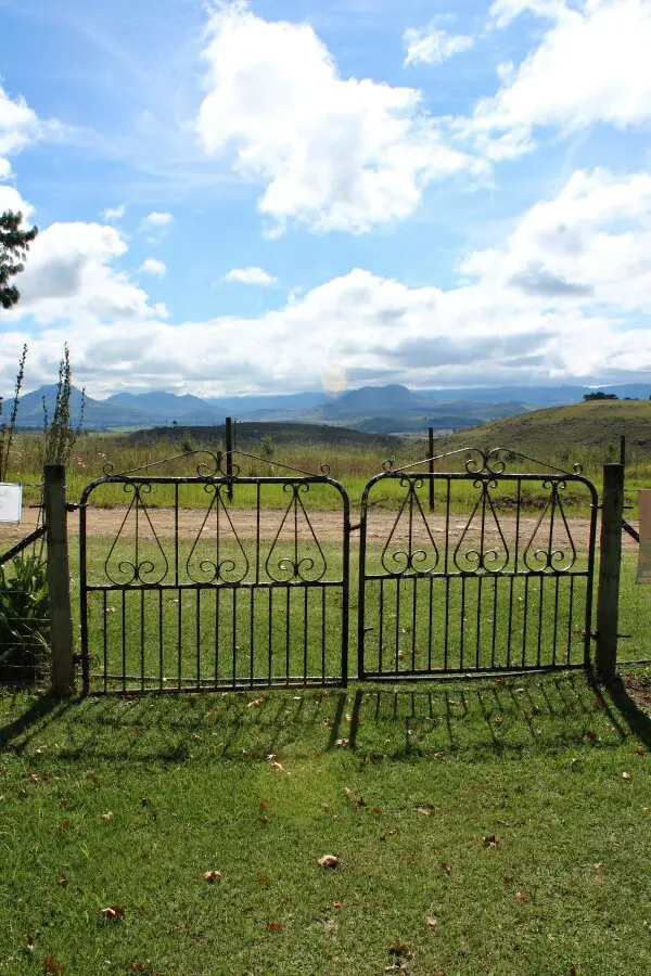 The Underberg Fields of Gold. My stay in the foothills of the great Drakensberg Mountains, South Africa | berrysweetlife.com