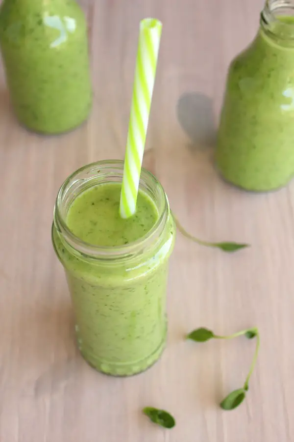 5 Minute Spinach Apple Green Smoothie 3