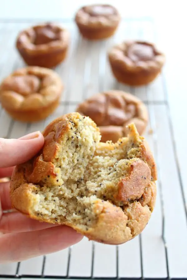 Easy Lemon Poppy Seed Blender Muffins. Naturally sweetened and gluten free, these healthy muffins are made in minutes and taste absolutely HEAVENLY <3 | berrysweetlife.com