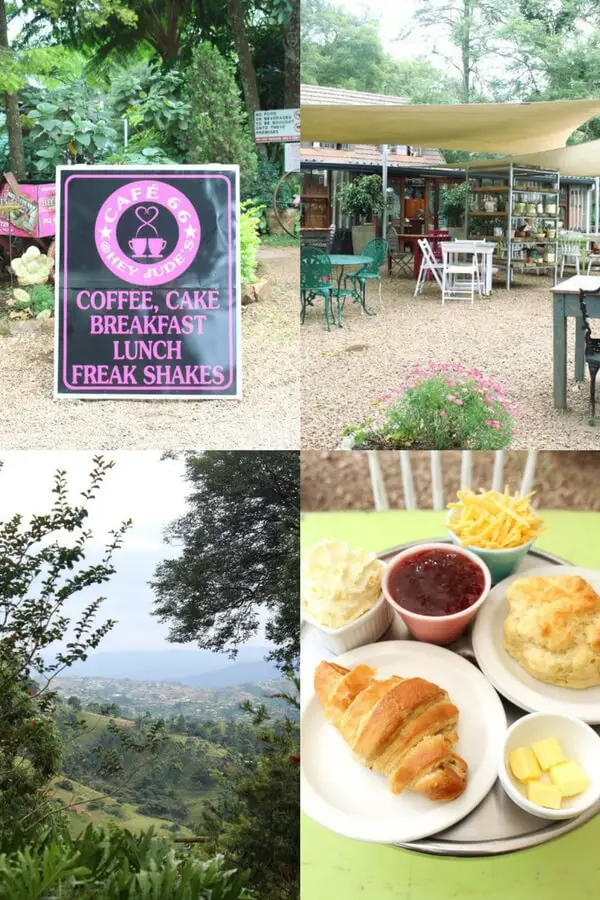 14 Best Garden Coffee Shops In Durban Berry Sweet Life