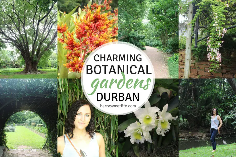 Charming Botanical Gardens Durban