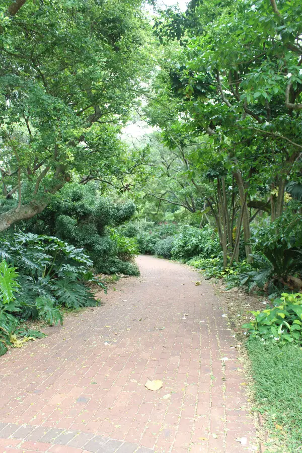 Charming Botanical Gardens Durban | berrysweetlife.com
