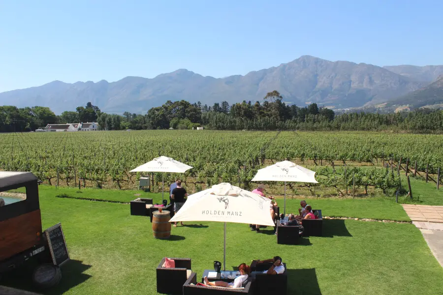 Taking The Wine Tram Tour In Cape Town - experience picturesque vineyards, breath-taking scenery, world-class cuisine, fine wines and a 300 year history! | berrysweetlife.com