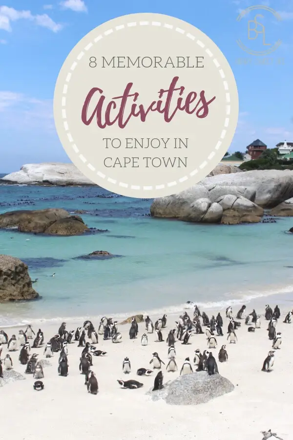 8 Memorable Activities To Enjoy In Cape Town | Berry Sweet Life