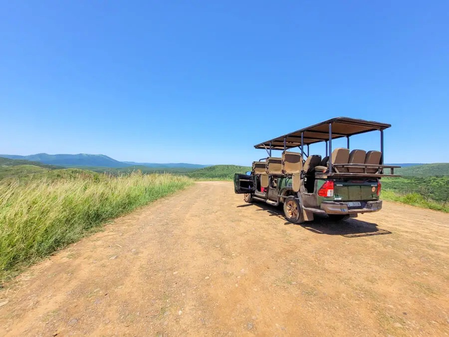Game vehicle in bushveld